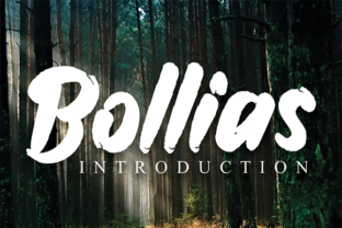 Bollias: A Handwritten Font for Elegant Web Design