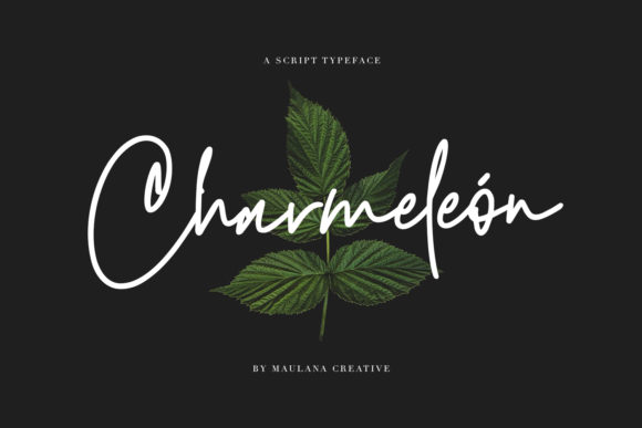 Charmeleon: The Perfect Font for Elevating Your Brand