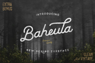 Enhance Your Brand with Baheula: A Charming Handwritten Font