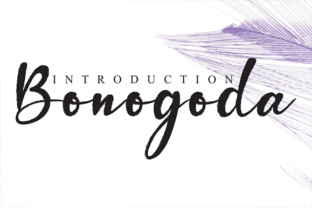 Enhance Your Campaigns with Bonogoda Font