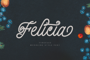 Enhance Your Web Design with Felicia, the Elegant Script Font