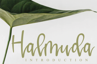 Enhance Your Web Design with Halmuda, the Elegant Handwritten Font