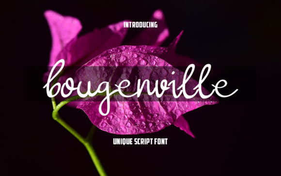 Exploring Bougenville: A Handwritten Font for Creative Branding