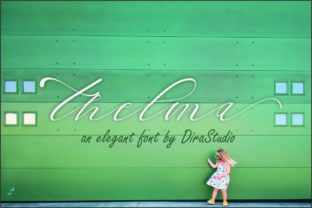 Thelma: A Script Amp Font for Elegant Design